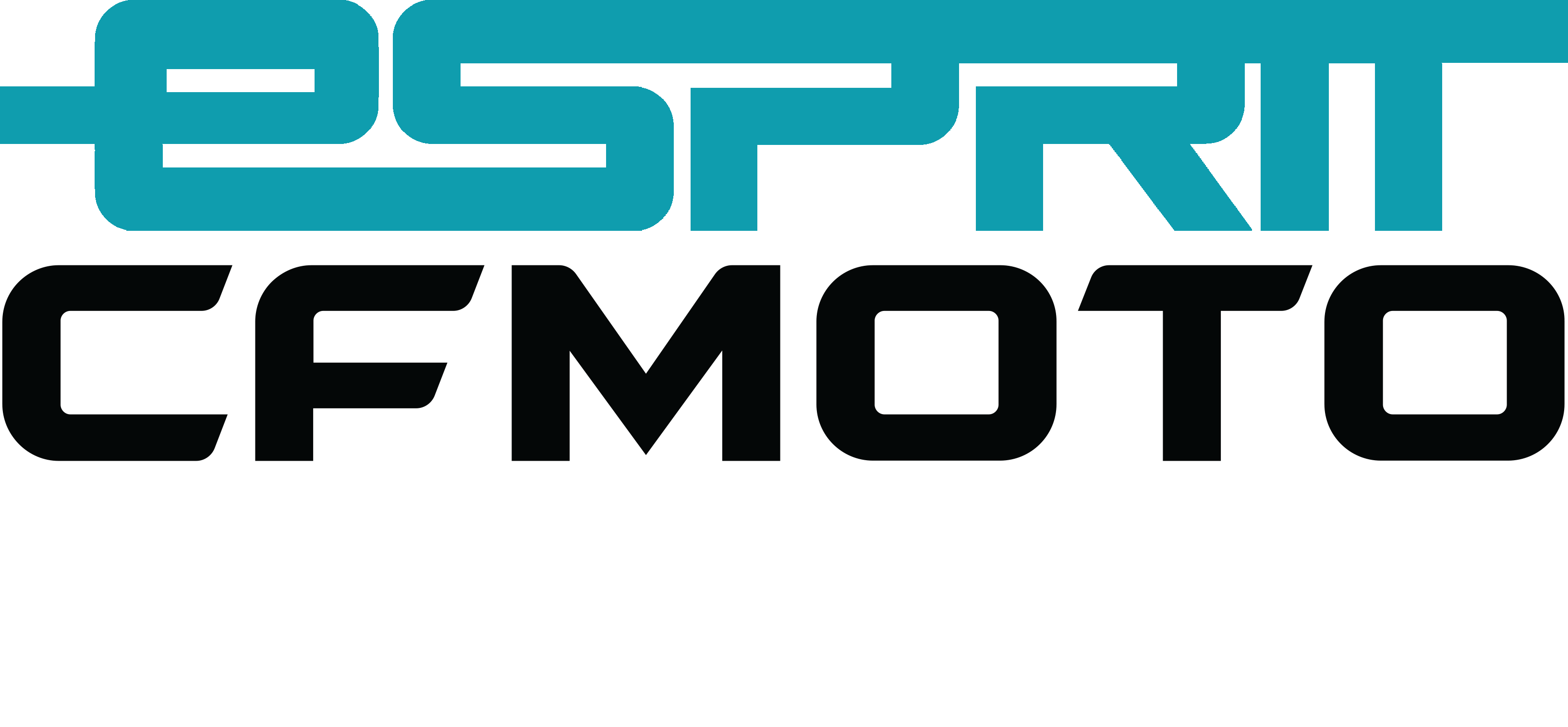Esprit CFMOTO
