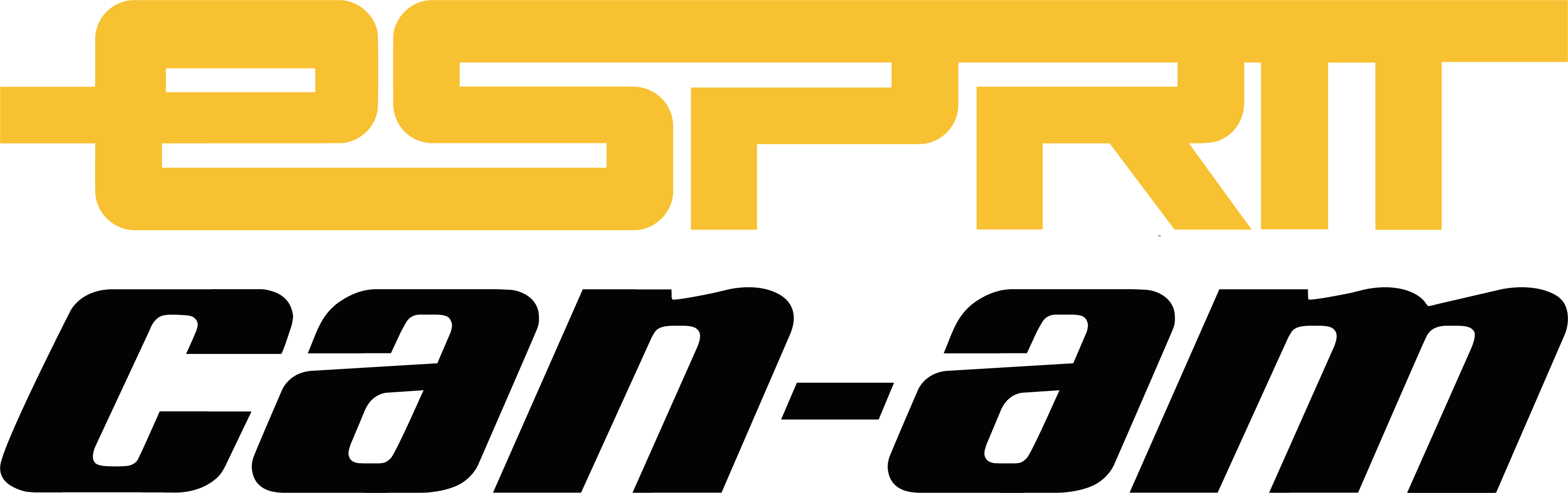Esprit CANAM
