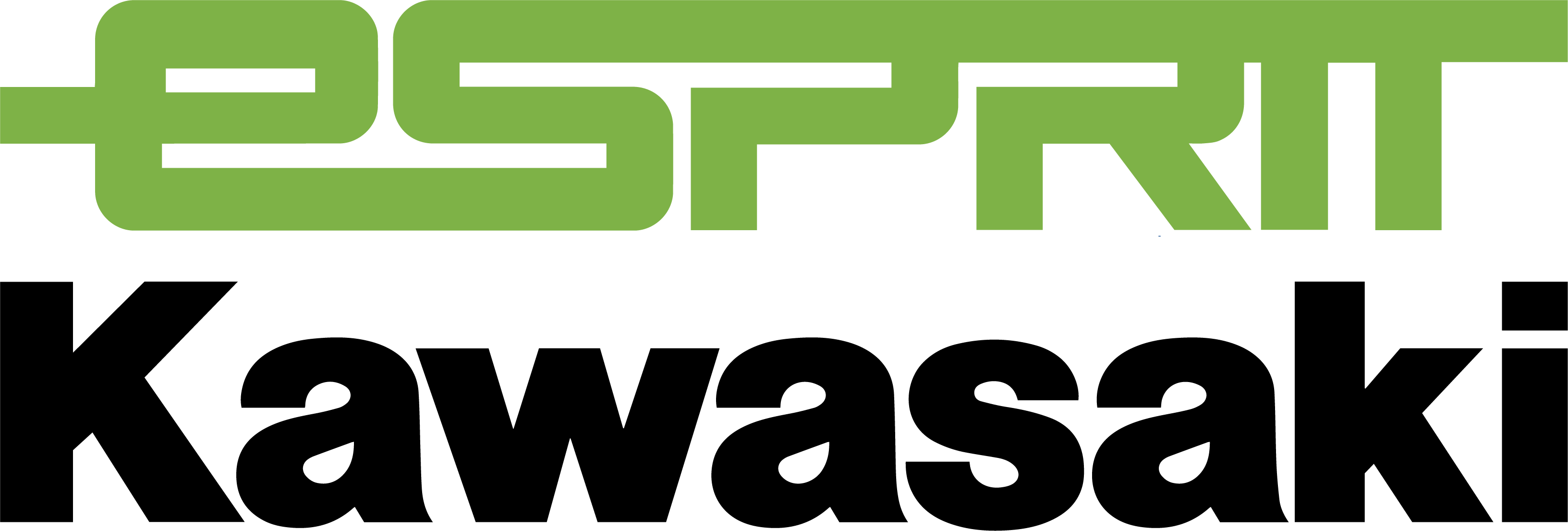 Esprit KAWASAKI