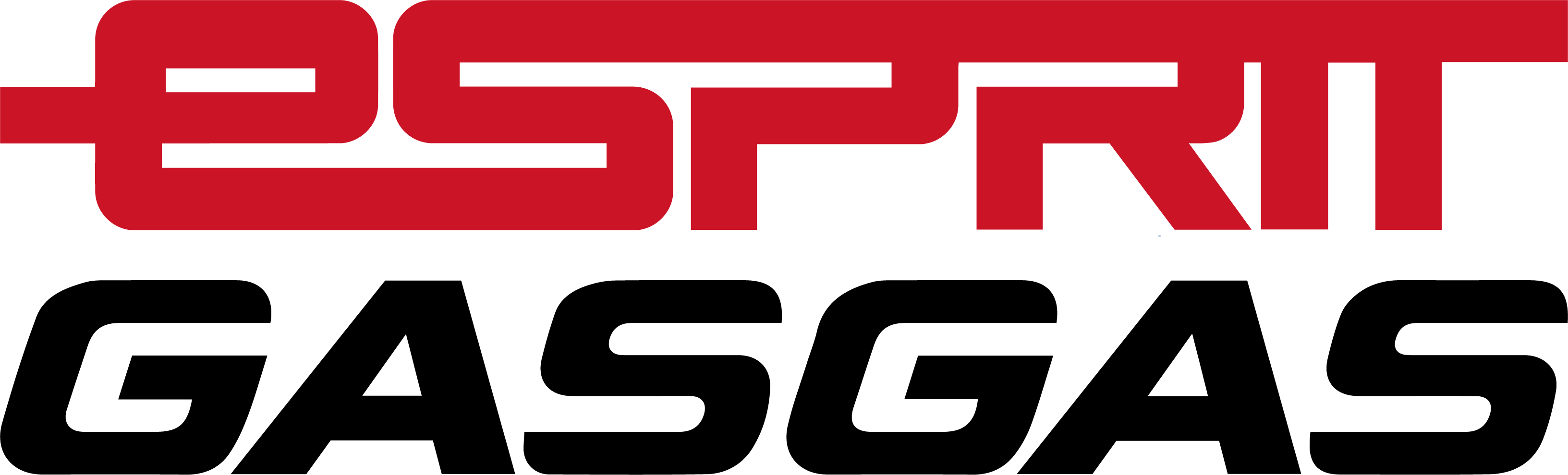 Esprit GASGAS